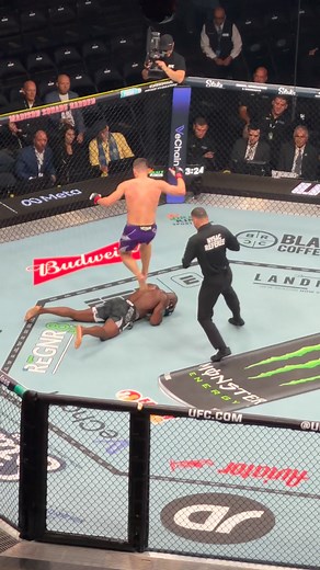 377K views · 1.8K reactions | Khamzat Chimaev's teammate scores walk-off KO at UFC 322 | BloodyElbow.com | Facebook