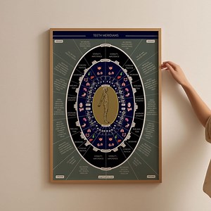 TCM Teeth Meridian Organ Poster Chart, Chinese Medicine Gift, Teeth Meridian Association, Acupuncture Acupuncturist Office Decor 2 Colors - Etsy