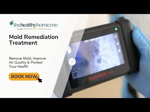 Mold Remediation Treatment : The Smart Solution for a Cleaner, Healthier Space