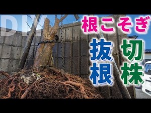 【庭DIY】切り株除去 文字通り根こそぎ抜根しました。 空き家を楽に管理するために伐採と切株抜根 [お庭をdiy]［garden answer］