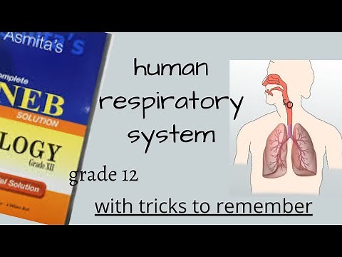 Human Respiratory System in NEPALI for Class 12 { NEB } ZOOLOGY