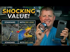 Budget Macro Videography | Real Underwater Results