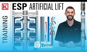 Mind Luster - Learn Artificial Lift Electric Submersible Pumps ESP in Oil Gas Systems