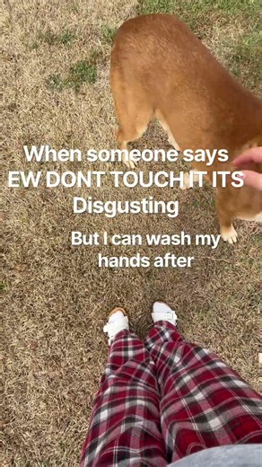 All they want is love. And I did give it food and water after. And I also gave it a bath.