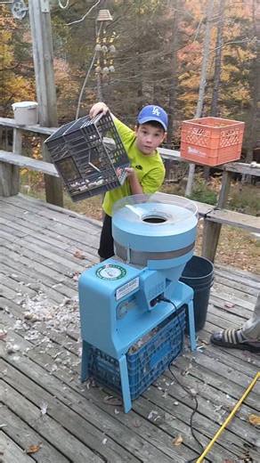 Testing out the new garlic bulb seperator. 🧄 What used to take us hours, now done in minutes, now this weekend we can get planting! | Bluefield Farm