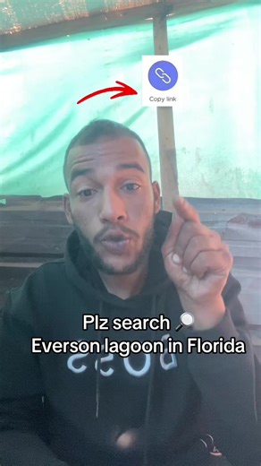 Experience the Best Pool at Evermore Bay Lagoon