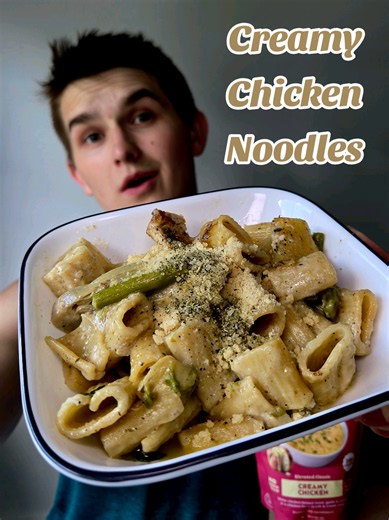 Creamy Chicken Noodles with Proper Good Soup Sauce