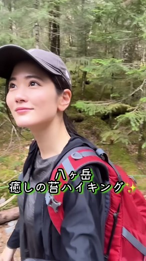 八ヶ岳癒しの苔ハイキング🍃😌 #八ヶ岳#ハイキング#登山#山飯