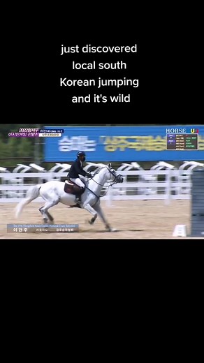 Equestrian Show Jumping Fails Compilation