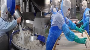 Incredible Process of Making Perfect Fish Cakes