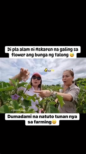 391K views · 2.2K reactions | Mas alam pa pla ni tita Small na galing sa flower ang talong #farming #eggplant | Bee tv | Facebook