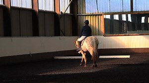 Hear some tip tips for riding transitions at Intro and Prelim level from Jo Swain! Enjoy a snippet of what to expect here 🐴🎥 Enjoy a full training session with Jo and two British Dressage - Quest Club riders in the digital training special issue of the BD Magazine, available for FREE and open to all BD followers and members. Check it out here https://bit.ly/BDMagazine-TrainingSpecial There's over two hours of video training to enjoy across the BD levels, click, save and enjoy at your leisure �