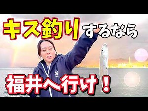 [Fukui Fishing Guide] Go to Kehi no Matsubara for Smelt Fishing‼️