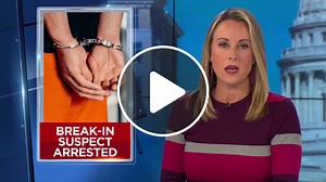 Suspect in eastern Dane County break-ins arrested after police chase - NewsBreak