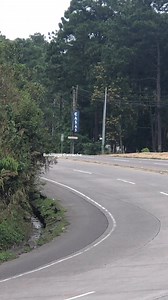 Rutas del golfo & Mi costeño express #fbviralpost2025シ #viralvideoシ #fypシ #foryouシ #honduraspost #fyp #vacation | Busologo Catracho