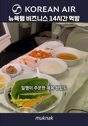 뉴욕으로 가는 14시간 대한항공 비즈니스석에서 먹을 수 있는 것들 #틱톡성장챌린지 #승무원 #대한항공 #기내식