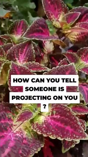Recognizing Projection: Blame, Emotions, and Overreactions #mentalhealth #california #therapist