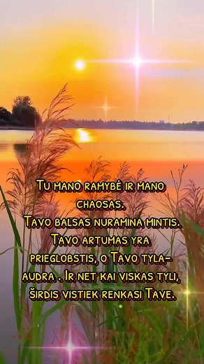 7.6K views · 164 reactions | Laima Puke on Reels | Facebook