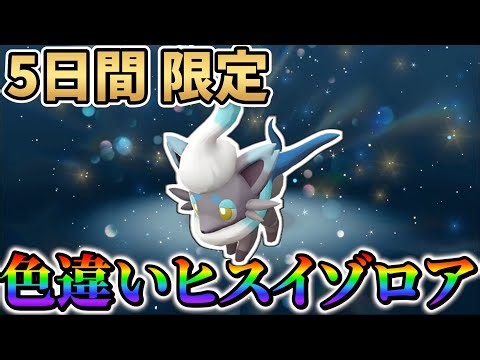 【ポケモンsv 色違いヒスイゾロア＆ゾロアーク】5日間限定！ポケモンスカーレットバイオレットで色違いヒスイゾロアをプレゼント!!!