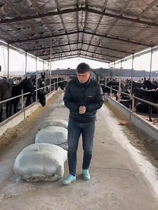 Animals Hilariously Confused by Funny Sounds 😂