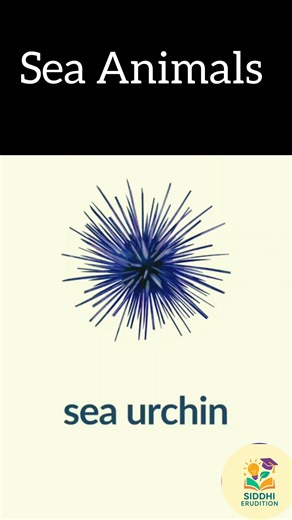 Sea Animals Names 🐠 | Learn Ocean Animals in English 🌊#sea #seaanimals #viral #shorts #learnenglish