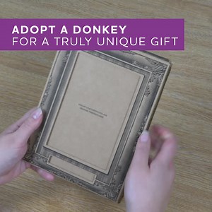 938K views · 314 reactions | Adopt a donkey from £4 a month and start a unique friendship today! ❤️ | The Donkey Sanctuary | Facebook
