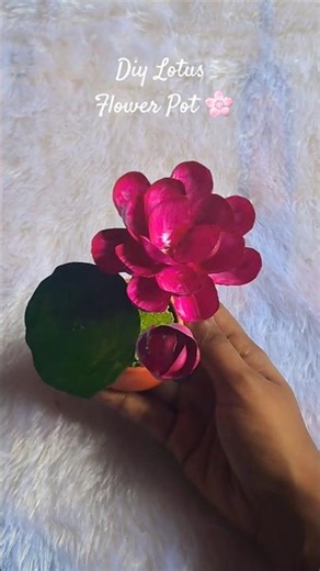 DIY Mini Lotus Flower Pot Using Tablet Cover 🌸✨ #diy #shorts