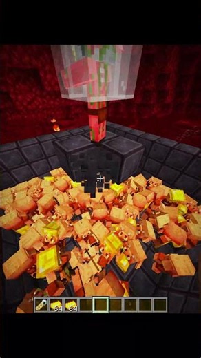 Minecraft Gold Digger Moment 💀