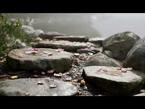 Japanese Garden EXPERT Shares Secret to Perfect Zen Stepping Stones