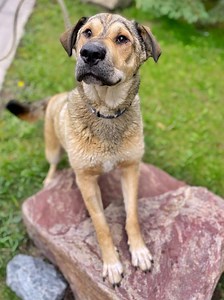 About Us - AARCS