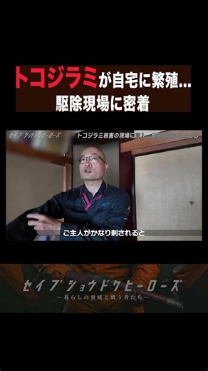 一度侵入したトコジラミの被害がヤバい...家全体が汚染 #害虫 #トコジラミ #駆除現場