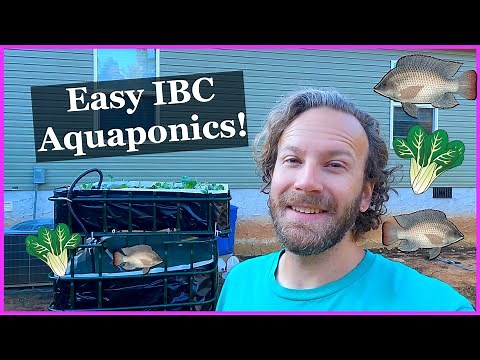 Aquaponics IBC Chop & Flip Build - Easy for Beginners