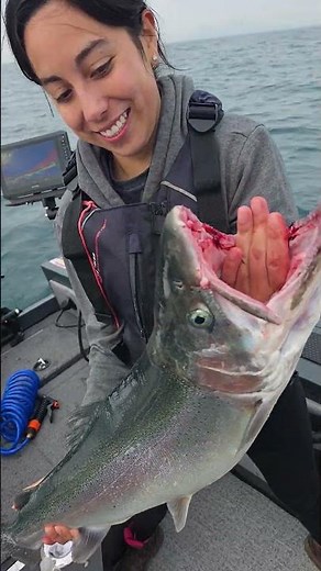 Monster Steelhead #lakemichigan #fishing #chicago #Steelhead #trout