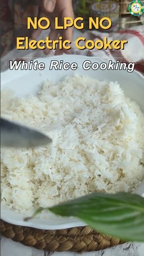 Cook Rice in Microwave in 20 Min | No LPG No Electric Cooker Needed #cleanenergy #cooksmart #food