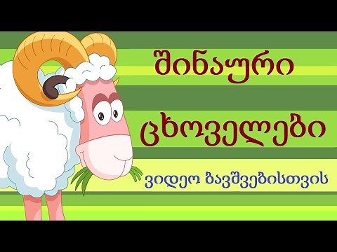ვისწავლოთ შინაური ცხოველები/Viswavlot Shinauri Cxovelebi