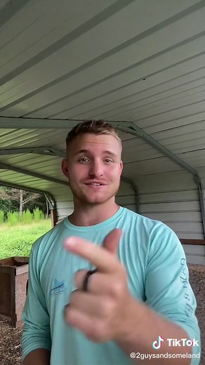 Domestic Emu Care Guide: Tips and Advice for Beginners