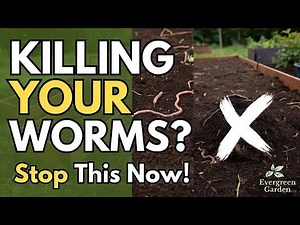 Don’t Kill Your Worms! What Not to Add to Raised Beds
