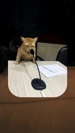 Podcast Inception in Liminal Horror. A podcaster playing a podcaster. #horror #ttrpg #rpg #liminal