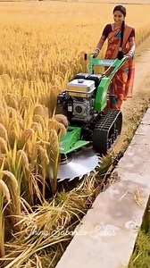 1.2K reactions · 18 shares | Modern mini harvesting Machine #reels #farmer #harvesting #machine #tips #ideas #highlight #everyone #followers | Jhing Sabordo Sabas | Facebook