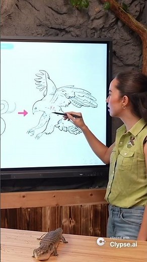 ONE FOOD CHAIN SHOWS BIOMAGNIFICATION