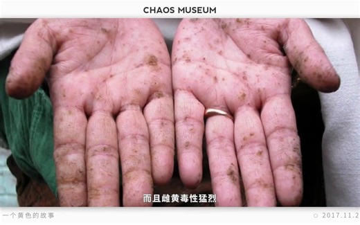 一个黄色的故事 A story about yellow丨混乱博物馆