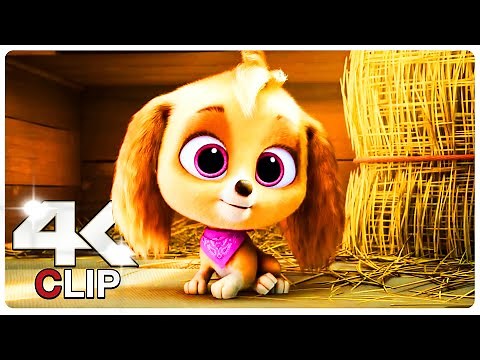 Baby Skye's Story Video | PAW PATROL 2 THE MIGHTY MOVIE (NEW 2023) Movie CLIP 4K