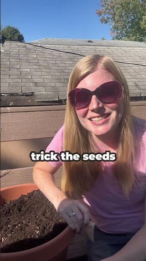 Why You Should Plant Coneflower (Echinacea) Seeds in Fall