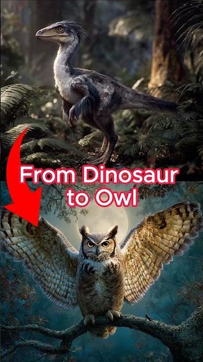 The Dinosaur That Became an Owl 🦉 #Owl #Dinosaur #AI #Evolution