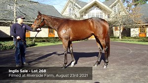 Parade Video Example