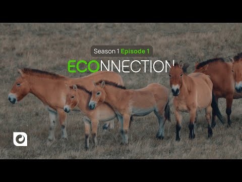 Байгаль дэлхий, түүнтэй зэрэгцэн орших амьд бүхэнтэй холбогдох ECONNECTION