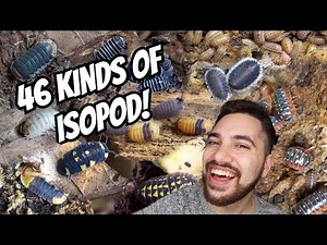 ISOPOD COLLECTION TOUR + FEEDING & WATERING (46 TYPES)