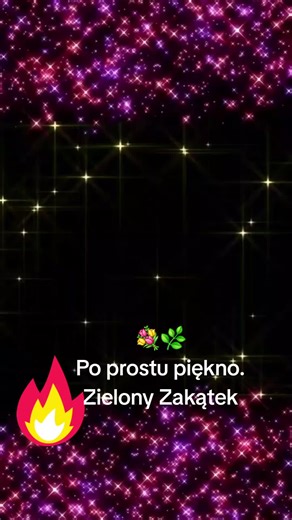 Filmy użytkownika Zielony_Zakątek (@zielony_zaktek) z muzyką dźwięk oryginalny - djlucasco