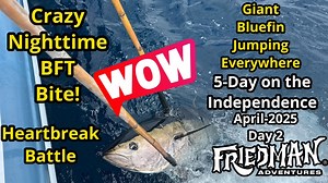 88K views · 939 reactions | Incredible sites as giant bluefin tuna are jumping out of the water everywhere in April 2025 on board the Independence for the second day of the Friedman adventures five day trip.Then at night, the bluefin tuna go absolutely wild. Great fishing, tackle tips, long arduous battles, and so much more. | Philip Friedman | Facebook