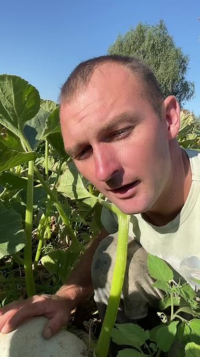 Exploring Daily Life on a Small-Scale Farm